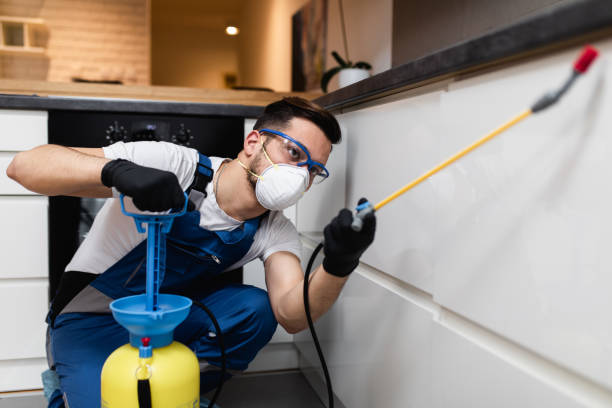 Best Commercial Pest Control Services  in Lake Los Angeles, CA