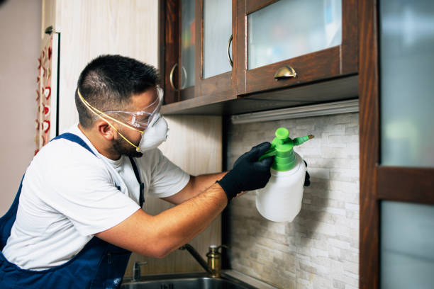 Reliable Lake Los Angeles, CA Pest Control Solutions